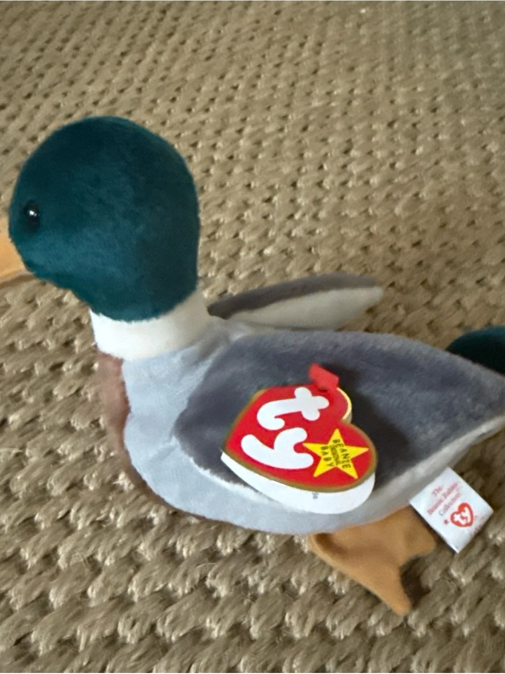 Beanie Babies questions leave